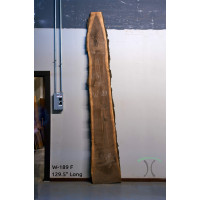 Black Walnut Live Edge Slab - #W189