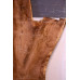 Black Walnut Live Edge Slab - #W329-3