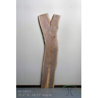 Sanded Live Edge Slab - Black Walnut - #W136-S